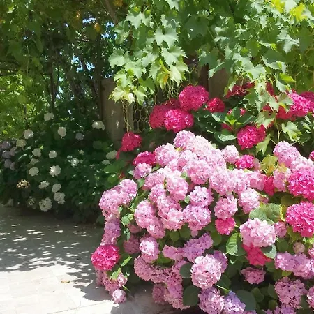 Laura Apartament Mali Lošinj