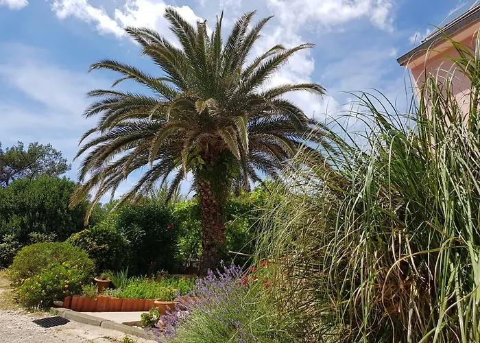 Laura * Mali Lošinj